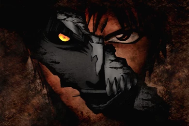 Bleach Hollow Ichigo Kurosaki Ichigo Wallpapers   (