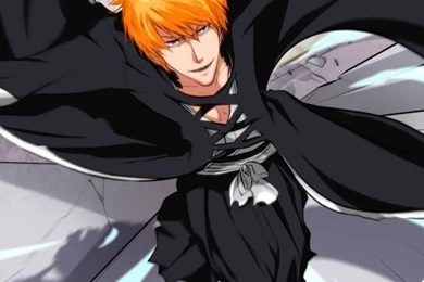 Kurosaki Ichigo 640x1136.jpg