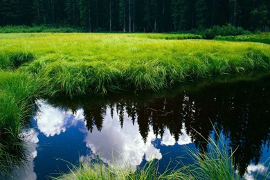 HD Wallpapers 1080p Widescreen Nature Free Download Best HD ...