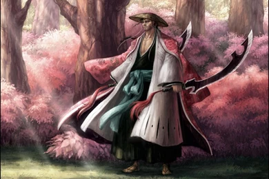 Bleach Wallpapers HD   Anime Wallpapers (34477580)   Fanpop