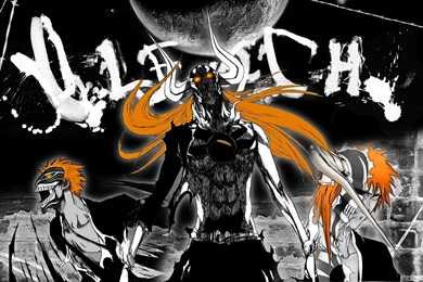 Bleach Wallpapers Black Panther S Den Wallpapers 35138351 Fanpop ...