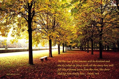 Fall Trees Backgrounds For Computer