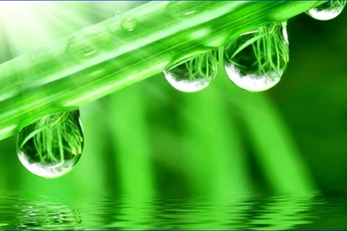 Water Drops Desktop Backgrounds   Wallpapers