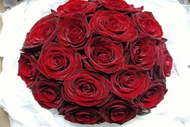 Wedding Flowers Wallpapers 2   Crazy Frankenstein