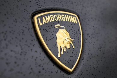 Download Lamborghini Logo HD Wallpapers For 4K 3840 X 2160 ...