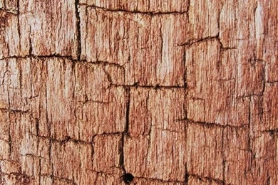 Chromecast   Tablet   Phone   Desktop   Wallpapers   4K Wallpapers ...