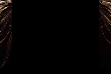 User Talk:BerzekerLT The Darkness Wiki Wikia