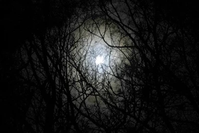 Dear Abbie: The Non Advice Column"