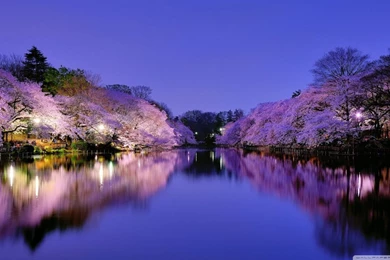 Osaka, Japan HD Desktop Wallpapers : Widescreen : High Definition ...
