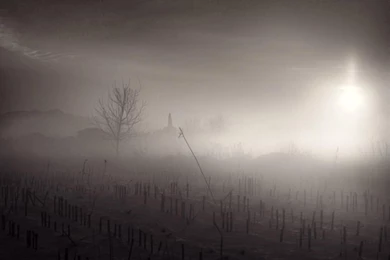 Lights In Darkness Free Desktop Backgrounds   Free Wallpapers Image