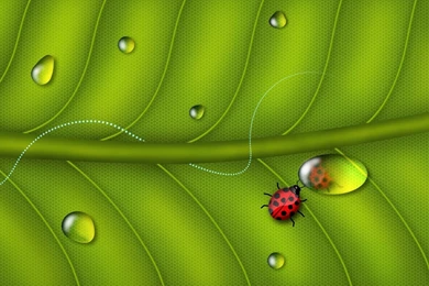 Free Wallpapers   Free Art Wallpapers   3D Desktop Wallpapers 5 ...