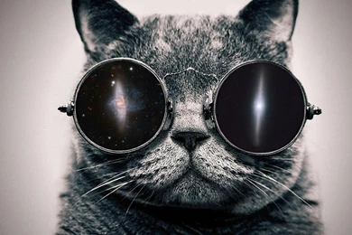 Cat In Space Wallpapers 1920x1080   (