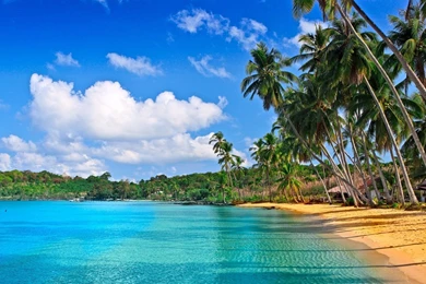 1920x1080 Tropical Beach Hd Wallpapers
