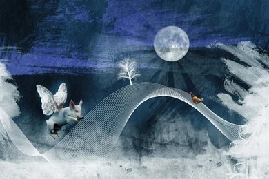 Midnight – Free Abstract Wallpapers