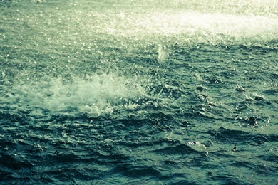 Heavy Rainfall   1397625