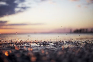 Gallery For   Water Rainfall Wallpapers