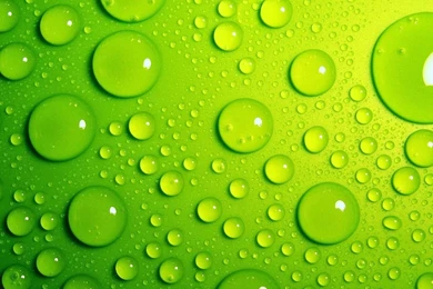 Green Bubbles 1280 X 1024 Wallpapers