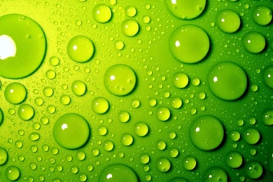 Green Bubbles Wallpapers