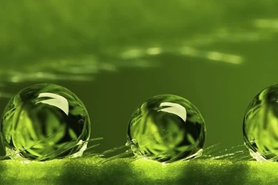 Green Bubbles   Wallpapers