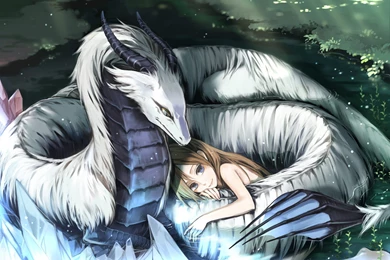 Women Dragons Fantasy Art Anime Wallpapers