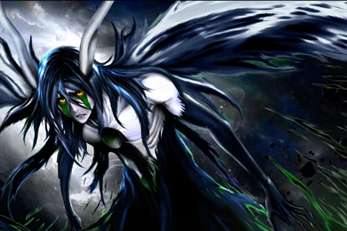 Bleach Wallpapers 15117   HD Wallpapers Site