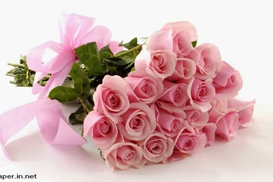 HD Wallpapers Free Download For Mobile Archives   Free Desktop ...