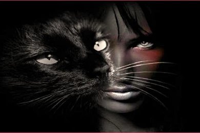 Cat Eye Computer Wallpapers, Desktop Backgrounds