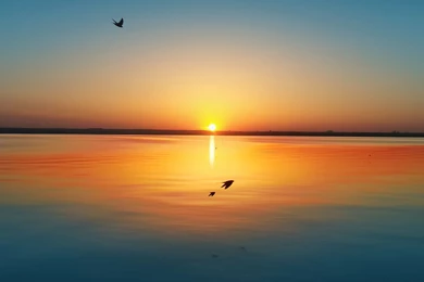 Sunset over lake ipad 4 wallpaper.jpg