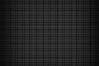 Animals HD Atlantic Ocean Dolphins Wallpapers For iPad 4