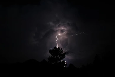 Animals HD Cute Chihuahua Puppy Wallpapers For iPad 4