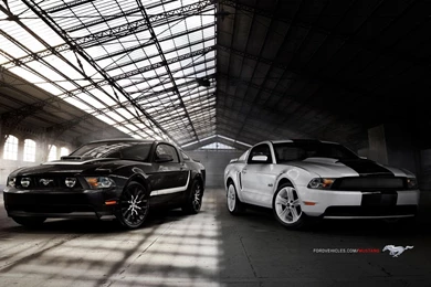 Ford Mustang Gt Wallpapers   ImgMob