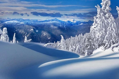 Winter Snow Backgrounds Download Free