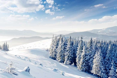 Snow Wallpapers HD
