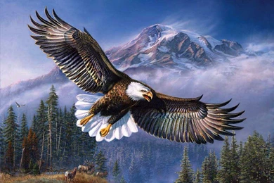 FLYING EAGLE WALLPAPER   (