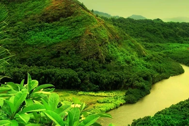 Green Nature HD Wallpapers, Green Nature Pictures, New Wallpapers