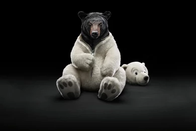 140187d1371621905 funny wallpapers funny wallpapers pictures 1680x1050.jpg