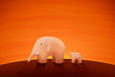 Animals Wallpapers   HD Desktop Backgrounds   Page 71