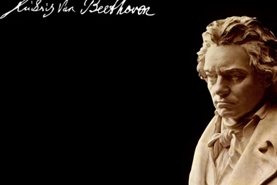Beethoven Wallpapers   Wallpapers Cave