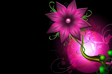 Flowers Wallpapers   HD Desktop Backgrounds   Page 35