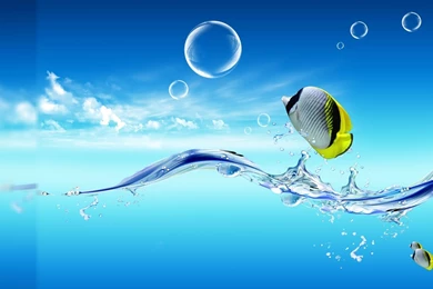 Water Hd Wallpapers   All Wallpapers New