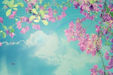 Free Rabbits Of Spring Backgrounds For PowerPoint   Animal PPT ...