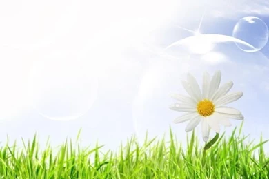 Awesome Wallpapers, Spring Backgrounds, Spring Computer ...