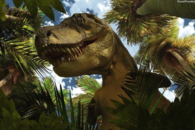 Dinosaur HD Wallpapers