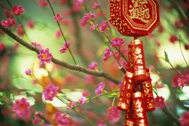 China   Photo Wallpapers And Pictures From China / Page 3