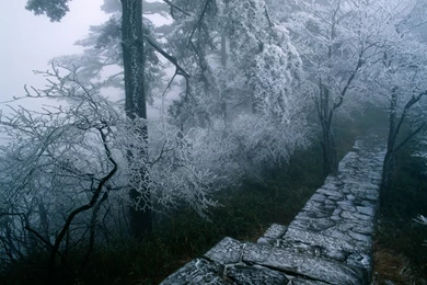 Free Screensavers And Wallpapers   KScreensavers.com