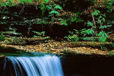 1080×1920 HD Wallpapers Free Download ~ Free Download Cracked ...