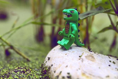 Lego Crocodile Wallpapers Hd