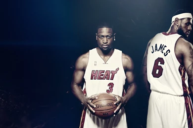 Dwyane Wade Spalding Lebron James Heat Basketball Nba Basketball ...