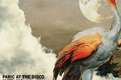 Panic At The Disco   Panic! At The Disco Wallpapers (2842216)   Fanpop