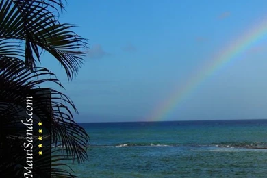 Hawaii Wallpapers From Maui Sands